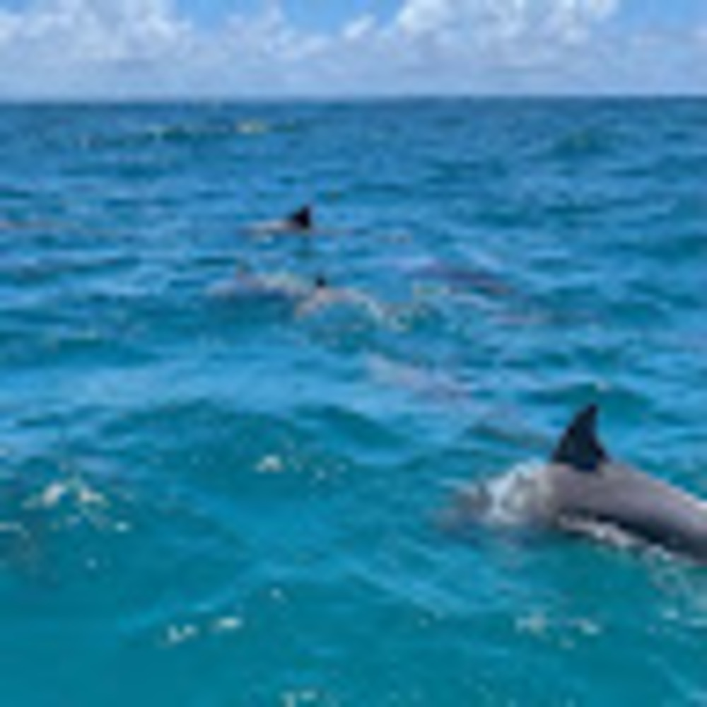 Meet your Posher, Ezekiel